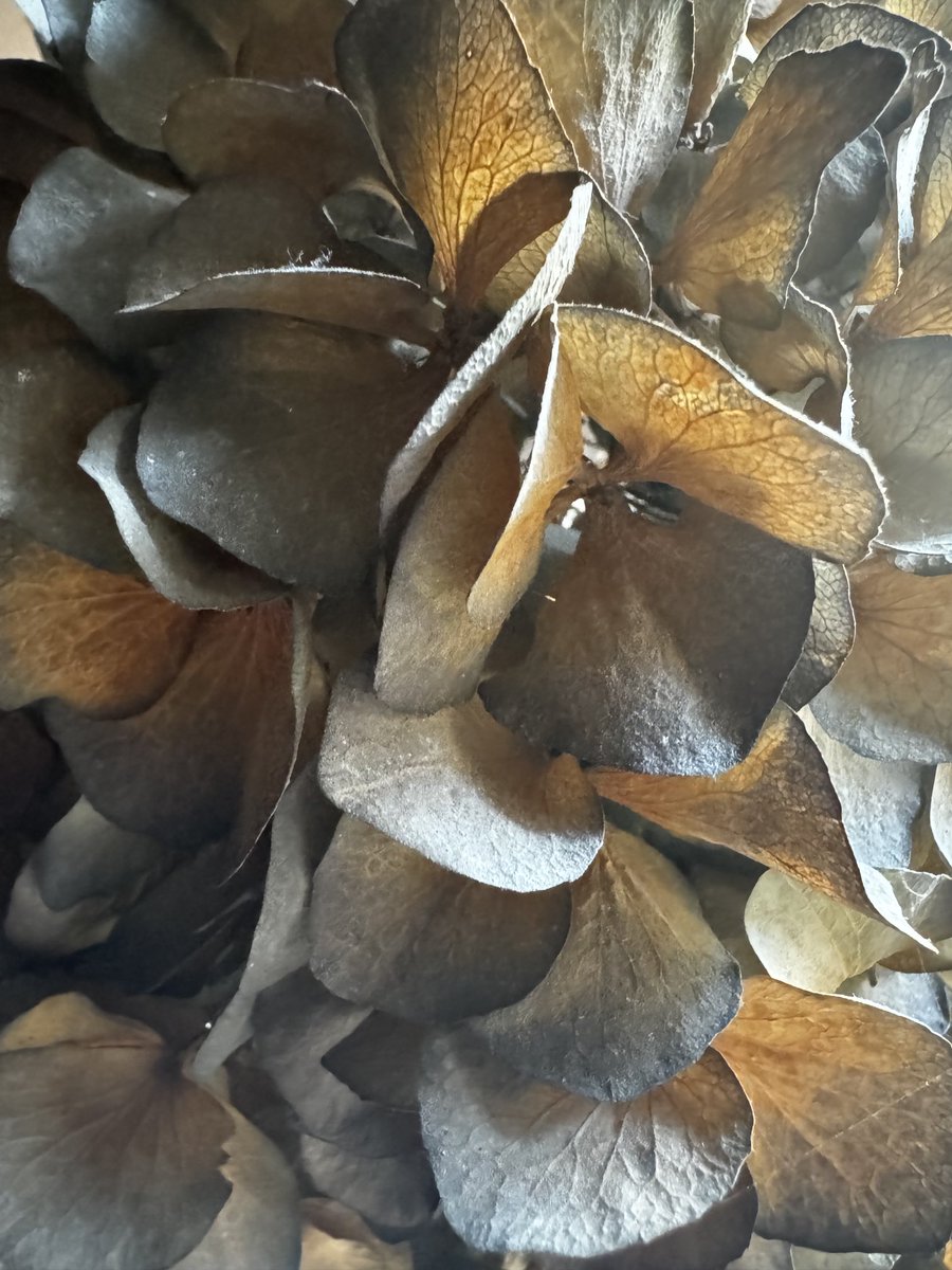 Ceryl Janssen (@seksuoloog) on Twitter photo 