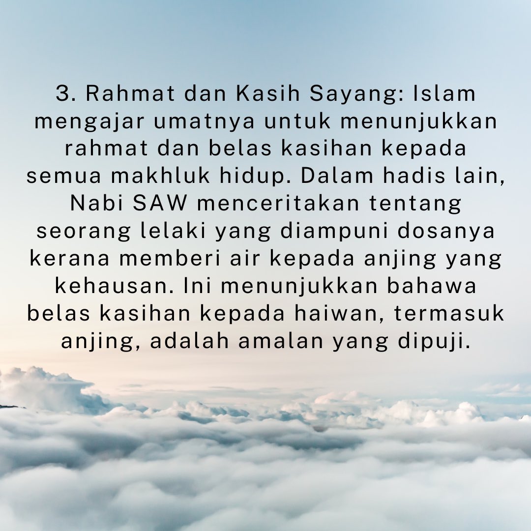 StrayFreeFndn's tweet image. Sebab-sebab Islam melarang umatnya berlaku zalim pada haiwan termasuk anjing dan babi.