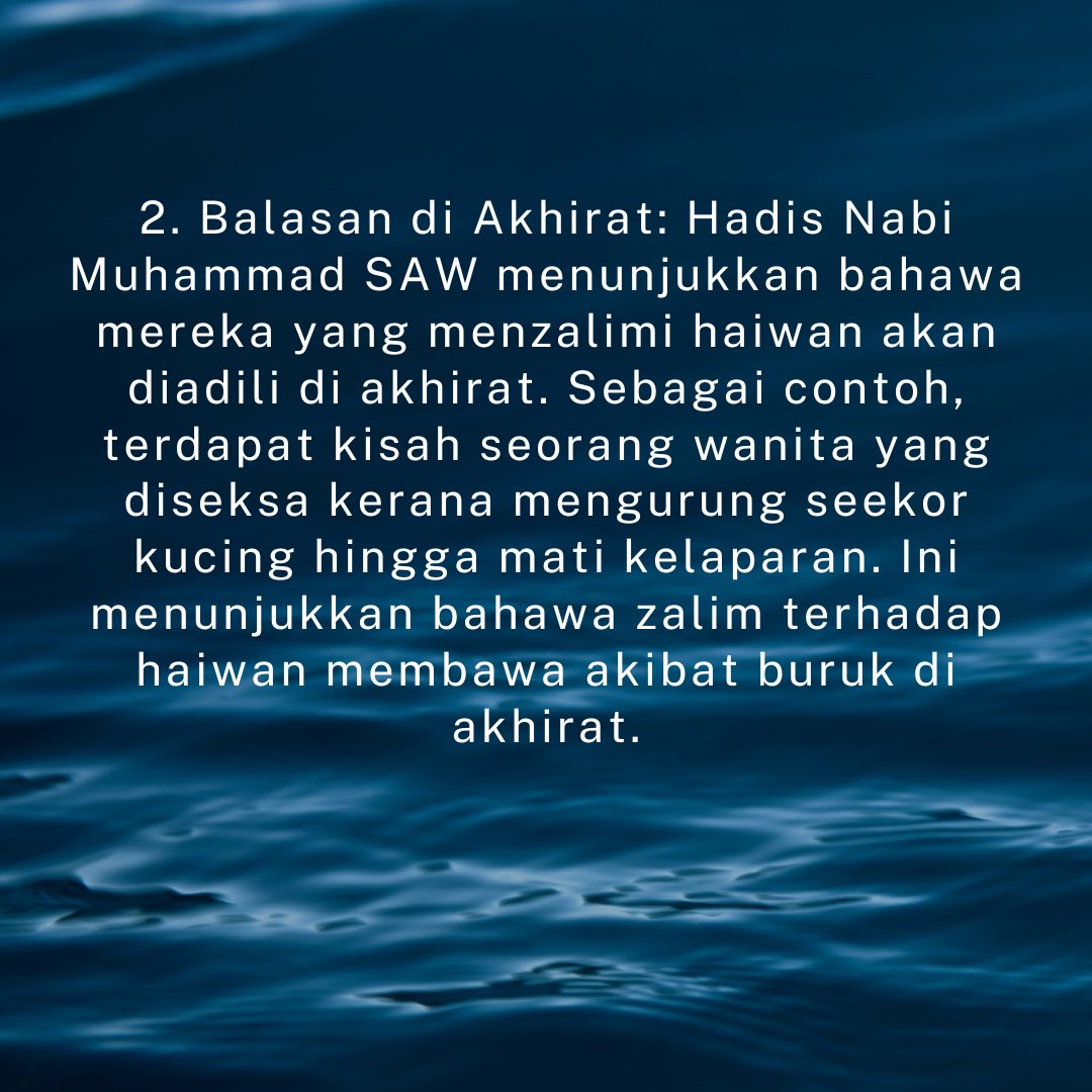 StrayFreeFndn's tweet image. Sebab-sebab Islam melarang umatnya berlaku zalim pada haiwan termasuk anjing dan babi.