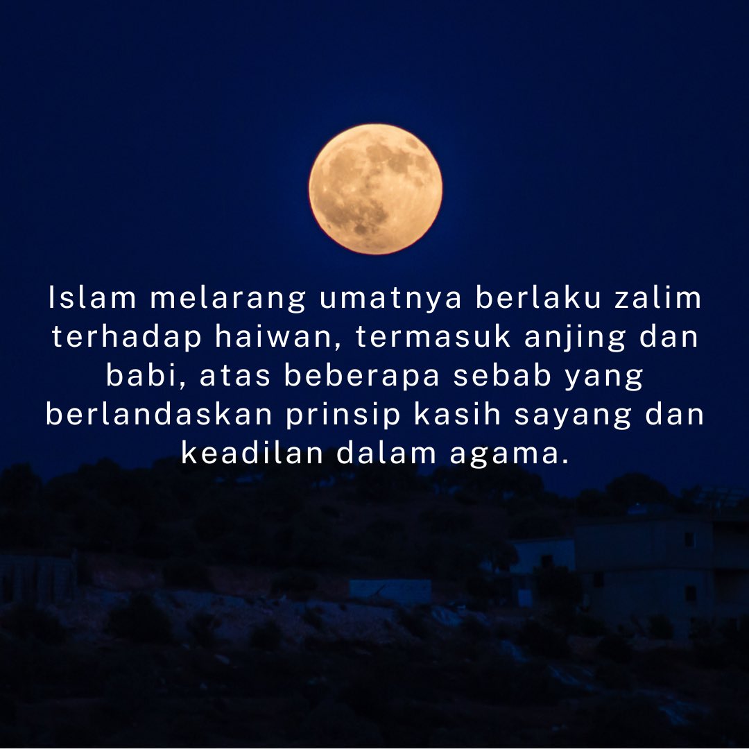 StrayFreeFndn's tweet image. Sebab-sebab Islam melarang umatnya berlaku zalim pada haiwan termasuk anjing dan babi.