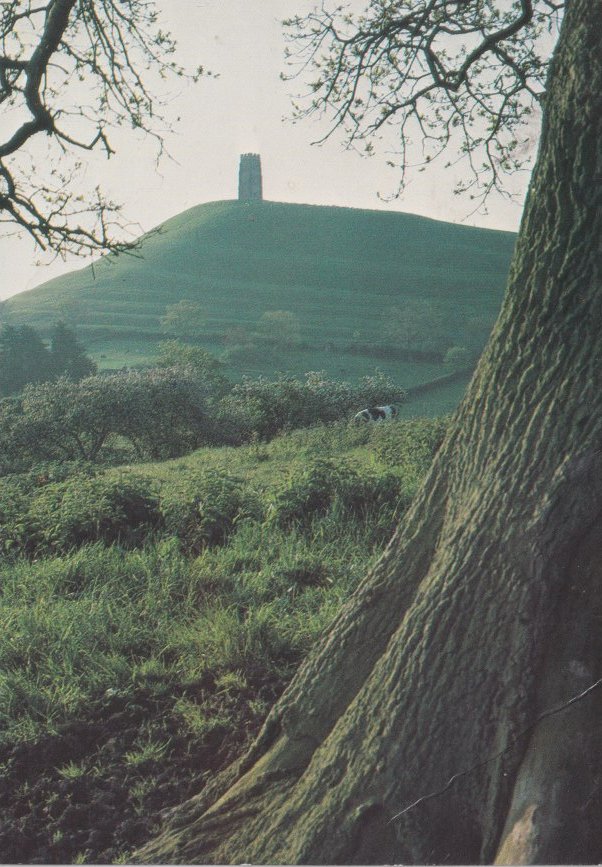 I have been trying to buy reasonably priced shoes &amp; sandals without success.