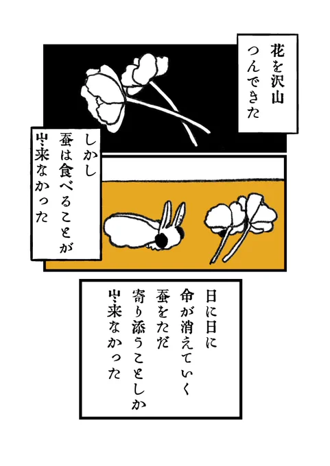 4/8 
