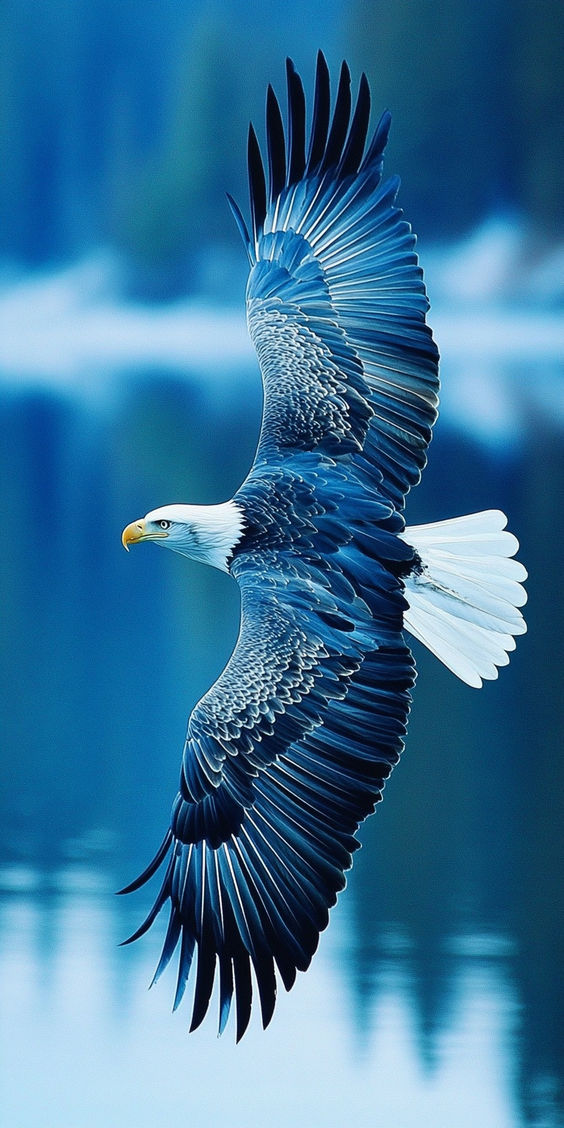 Blue eagle..