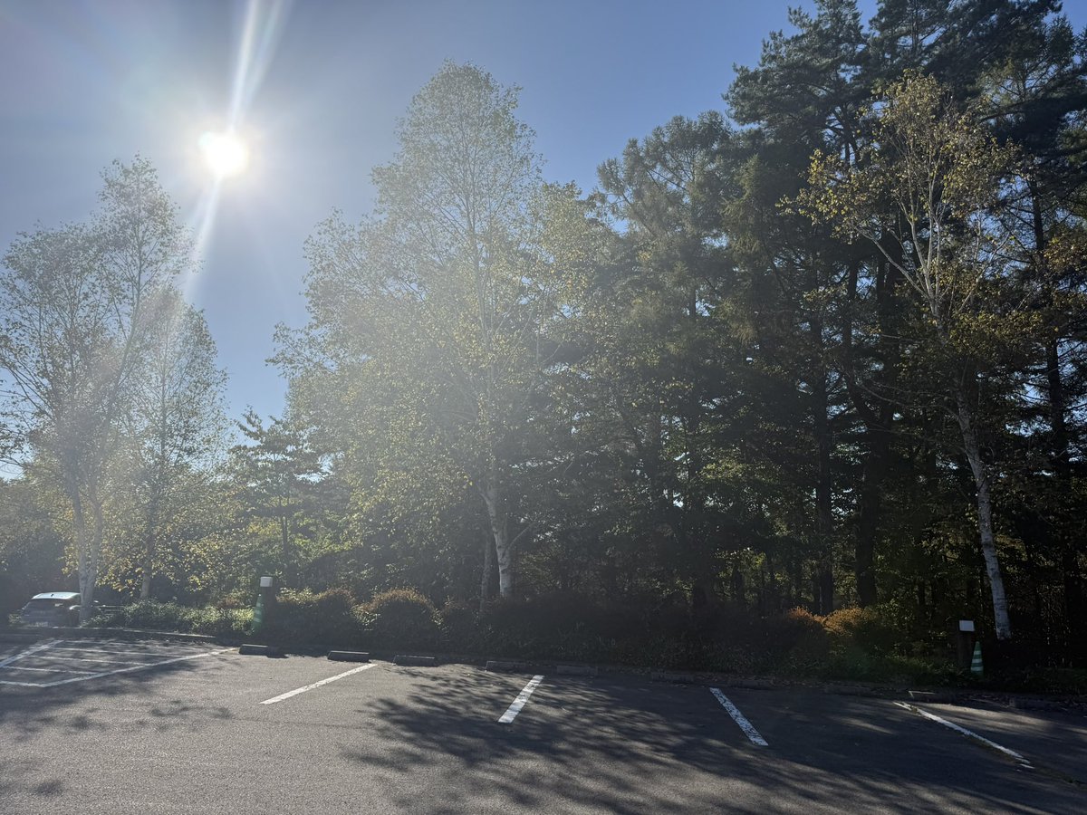 長野、天気良かったー
テラス蓼科のサウナ、景色良きで最高でしたー！
#サウナイキタイ #テラス蓼科