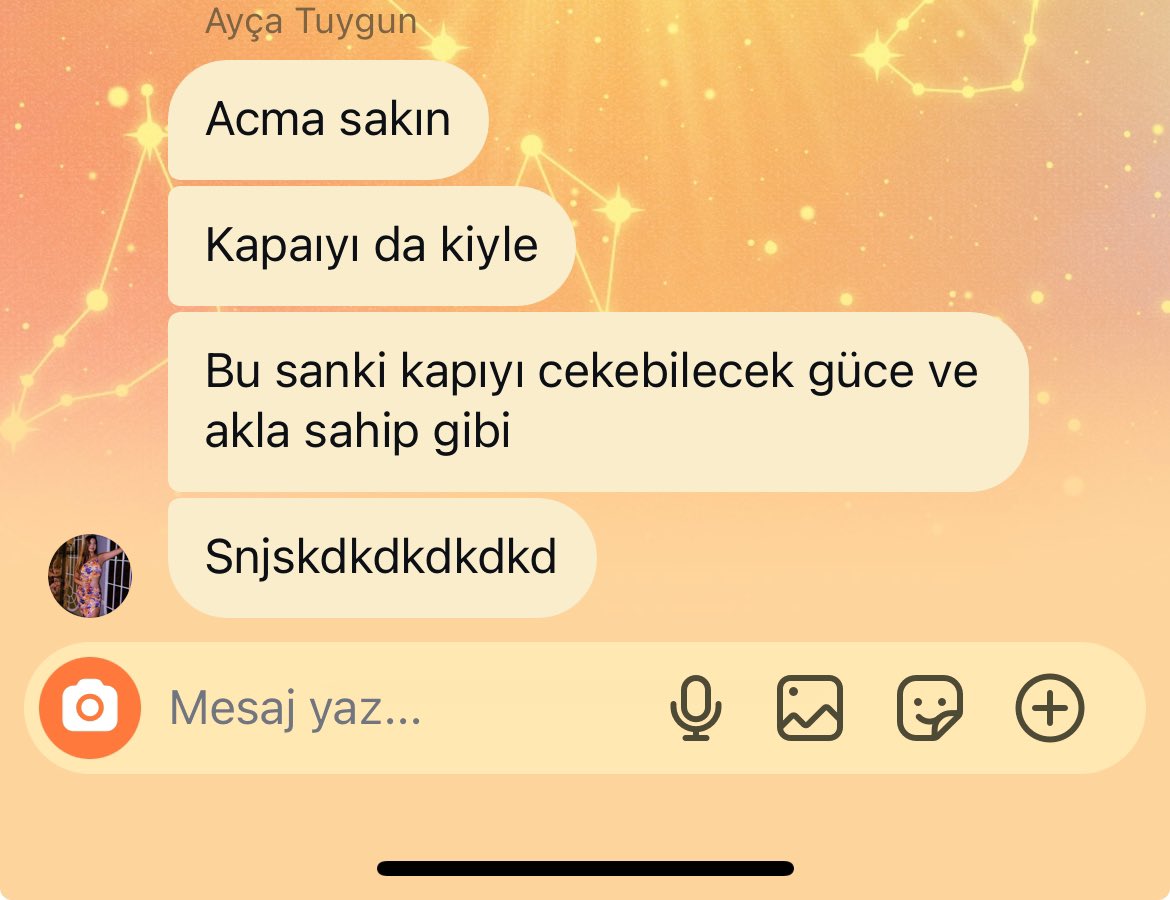 pinarrgurler's tweet photo. Eve böcek girmiştir, o sırada kız grubum🥲 @aycaatuygun https://t.co/I4rnySPDF6