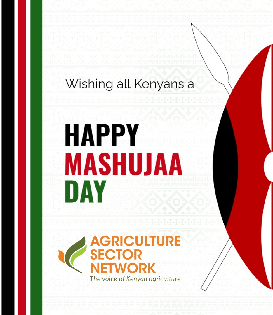 AsnetKenya's tweet photo. Happy Mashujaa Day! Today, we honor Kenya's agricultural heroes—our farmers, agri-innovators, and everyone driving food security and economic growth. You are the backbone of our nation! 🌾👩🌾👨🌾
#MashujaaDay #AgricultureHeroes #FoodSecurity #ASNET #SustainableFarming https://t.co/Jj5L2Tz1EB