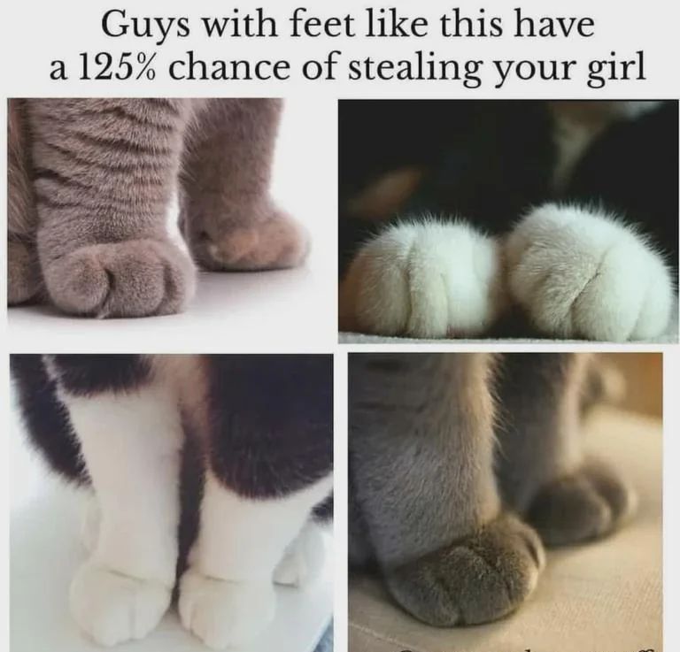 WholesomeMemes (@wholesomememe) on Twitter photo 