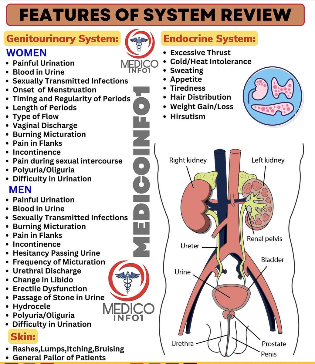 DrMedica_13's tweet photo. Features of #Systemic_Review✨
•••
#Medical_students #Medical_Hx #MedEd #MedX https://t.co/qGPpvcU9La