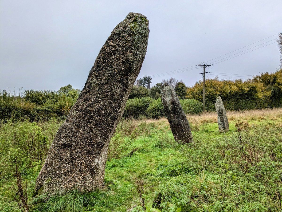 #StandingStoneSunday Just about beating Storm Ashley this morning with a tour of ancient Trellech in the company of Katie Churchill <a href="/ChurchillArch/">ChurchillArchaeology</a> - including the incredible Harold's Stones Early Bronze Age alignment 🤩. So much more research to do here!