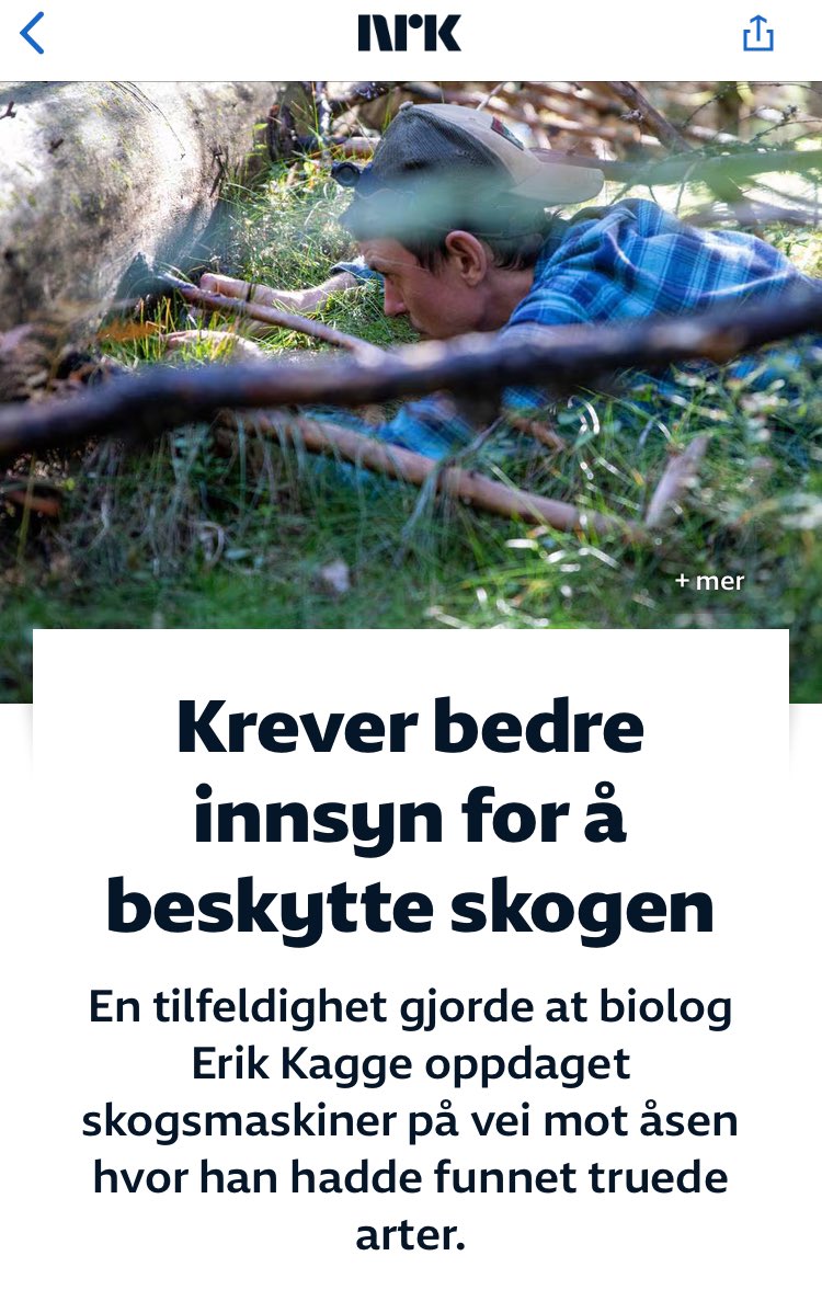 Det må bli slutt på at tilfeldigheter, flaks og massiv innsats fra frivillige er det eneste som beskytter kjente verdier i gammelskog fra flatehogst.

Er minimum må være organisert meldeplikt og søknadsplikt før hogst i naturskog nrk.no/norge/xl/kreve…