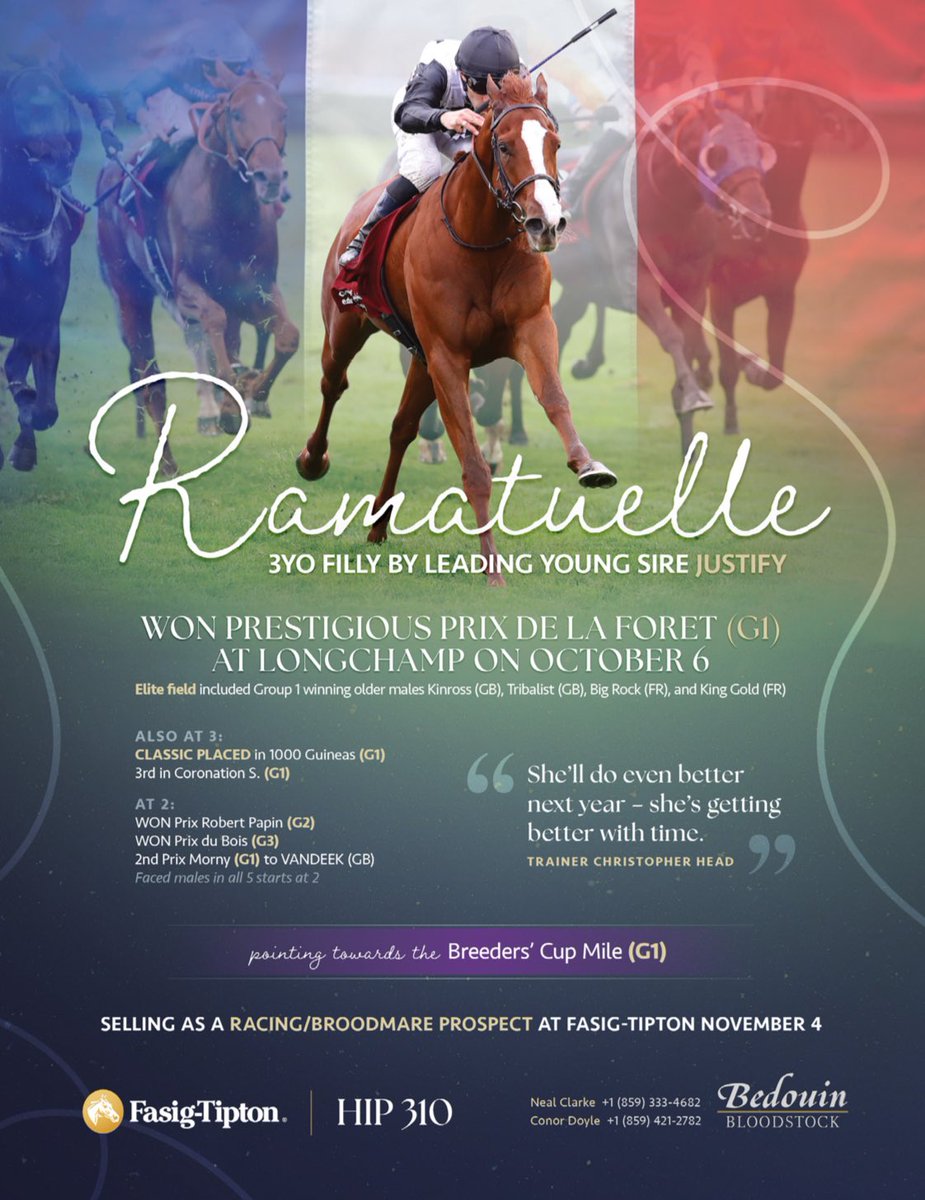 TDN (@thetdn) on Twitter photo 🚨Ramatuelle - 3yo filly by leading young sire Justify
Selling as a racing/broodmare prospect <a href="/FasigTiptonCo/">Fasig-Tipton</a> November 4 🚨Ramatuelle - 3yo filly by leading young sire Justify
Selling as a racing/broodmare prospect <a href="/FasigTiptonCo/">Fasig-Tipton</a> November 4