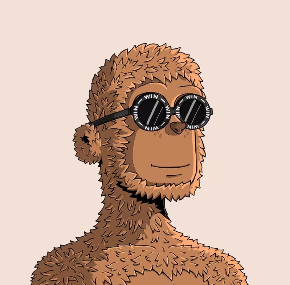 leonnftspace's tweet image. Keep it Real.
Keep it Simple.
Keep it Side Ways @SideY00ts 

Have 🫵 Yours! 

Its about to get buck wild in here. 😎 🟨🟦🟥🟪🟧