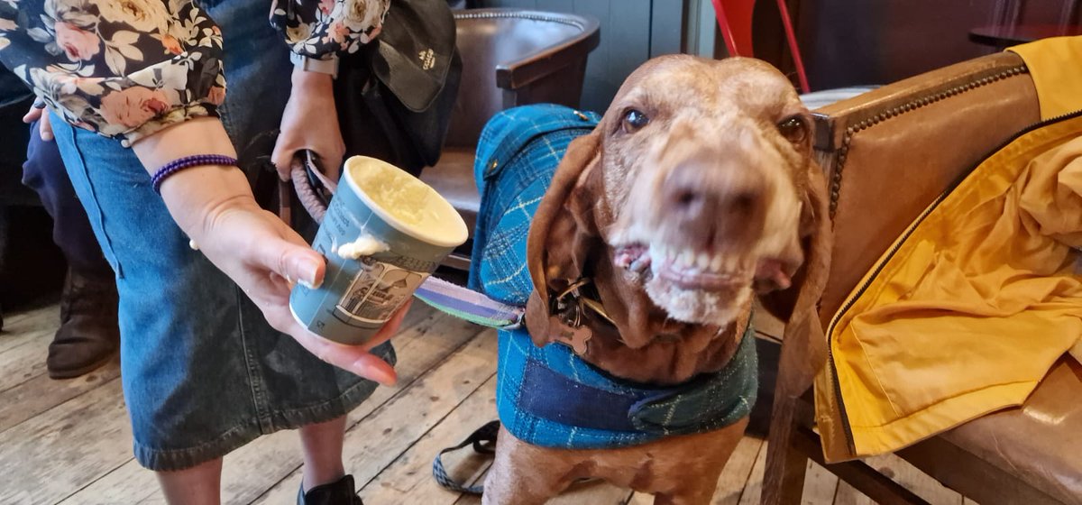 Treacle Bestie Alma 🌈💔 tweet media