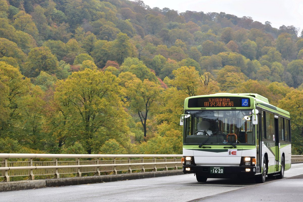 かしわぎ (@kashiwagi_208) / Posts / X