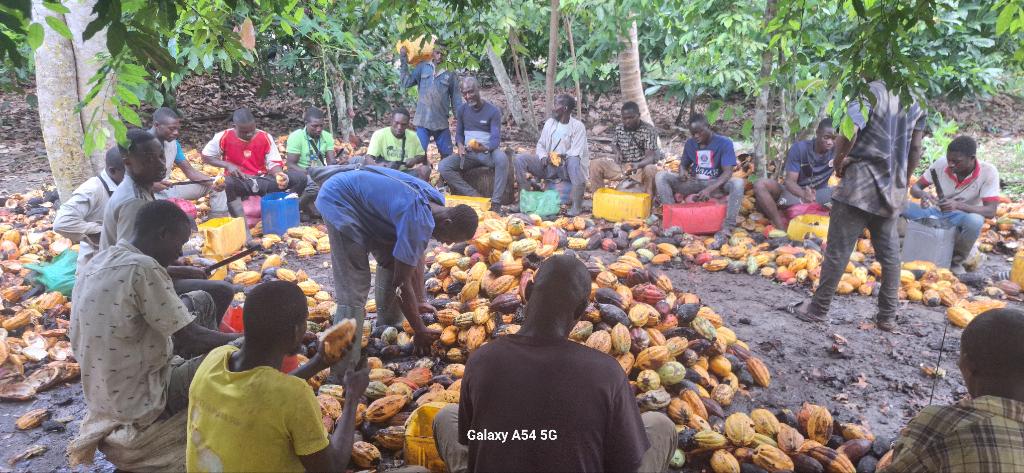 MichelKablan3's tweet photo. En famille pour plus de proximité.
#SCATI-PRODUCTEURS relève ASSUREE https://t.co/qUe0yYricH