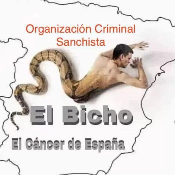 OlgaPatriaVOX's tweet photo. Yo creo que le queda muy poco a Sánchez para salir de la Moncloa.
¿Qué opináis? https://t.co/iWpZ62fh93