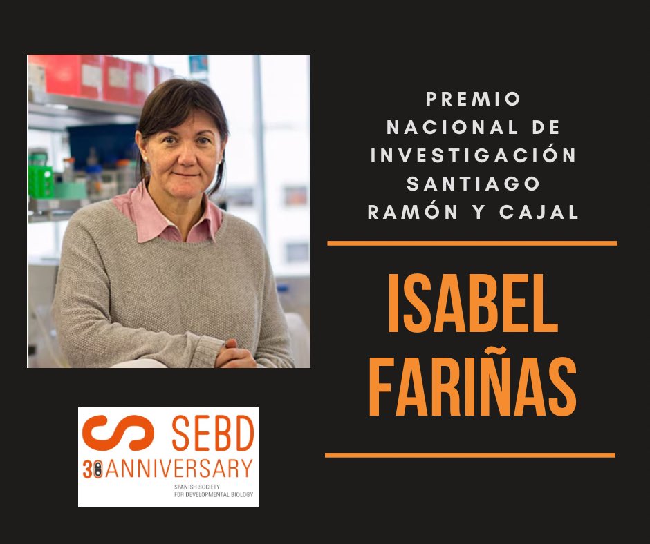 SEBD (@sebioldev) on Twitter photo Desde la <a href="/SEBiolDev/">SEBD</a> felicitamos a Isabel Fariñas <a href="/FarinasLab/">Fariñas Lab</a> <a href="/UV_EG/">Universitat València</a> por el Premio Nacional de Investigación Santiago Ramón y Cajal <a href="/CienciaGob/">Ministerio de Ciencia, Innovación y Universidades</a> . Enhorabuena Isabel, enhorabuena también a los demás premiados y premiadas! ciencia.gob.es/Noticias/2024/… Desde la <a href="/SEBiolDev/">SEBD</a> felicitamos a Isabel Fariñas <a href="/FarinasLab/">Fariñas Lab</a> <a href="/UV_EG/">Universitat València</a> por el Premio Nacional de Investigación Santiago Ramón y Cajal <a href="/CienciaGob/">Ministerio de Ciencia, Innovación y Universidades</a> . Enhorabuena Isabel, enhorabuena también a los demás premiados y premiadas! ciencia.gob.es/Noticias/2024/…