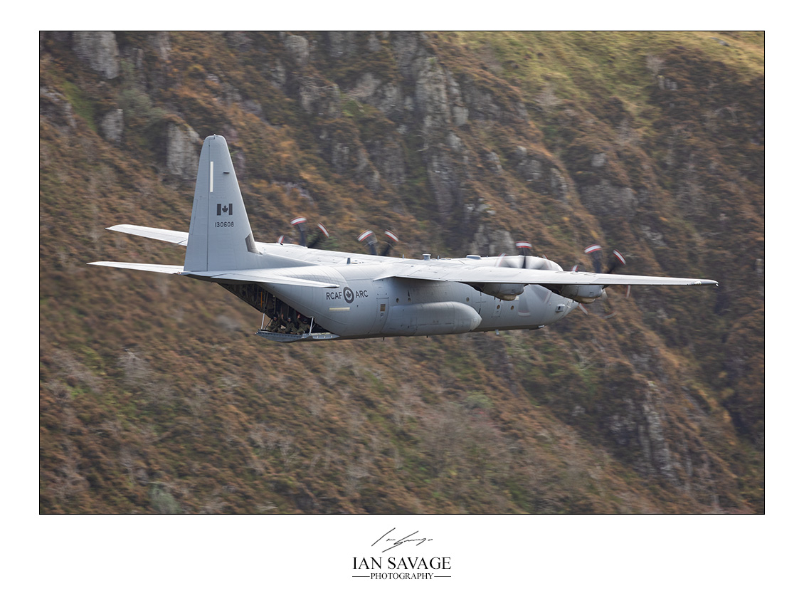 They say hello! #RCAF