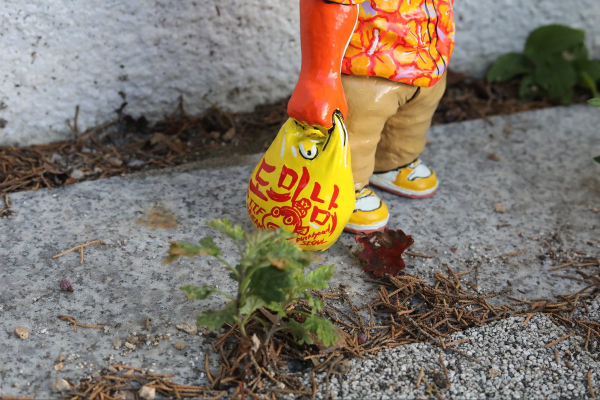 duckhead ⌐◨-◨ tweet media