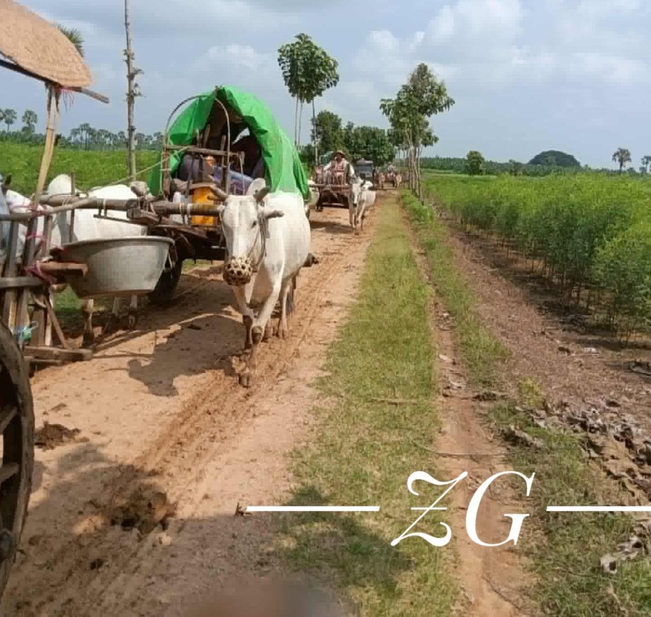 Zaygyi58144509's tweet image. Thousands of Civilians in #Budalin Township have been fleeing from their homes for #Survival. More than 7000 people have been displaced due to armful violence commited by Junta forces includimg artillery attacks.
#WhatsHappeningInMyanmar
#WarCrimesOfJunta
#IDPs
#SagaingUnit