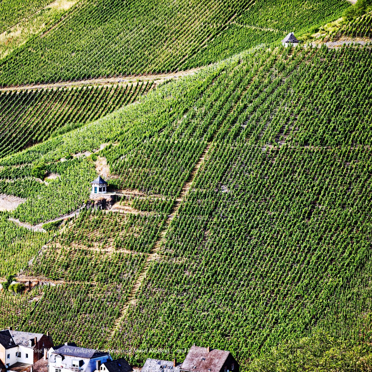 Part of the majestic Doctor in Bernkastel.