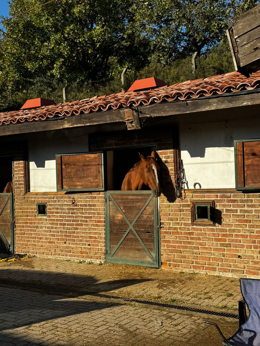 Güne güneşli bir günde başlamak