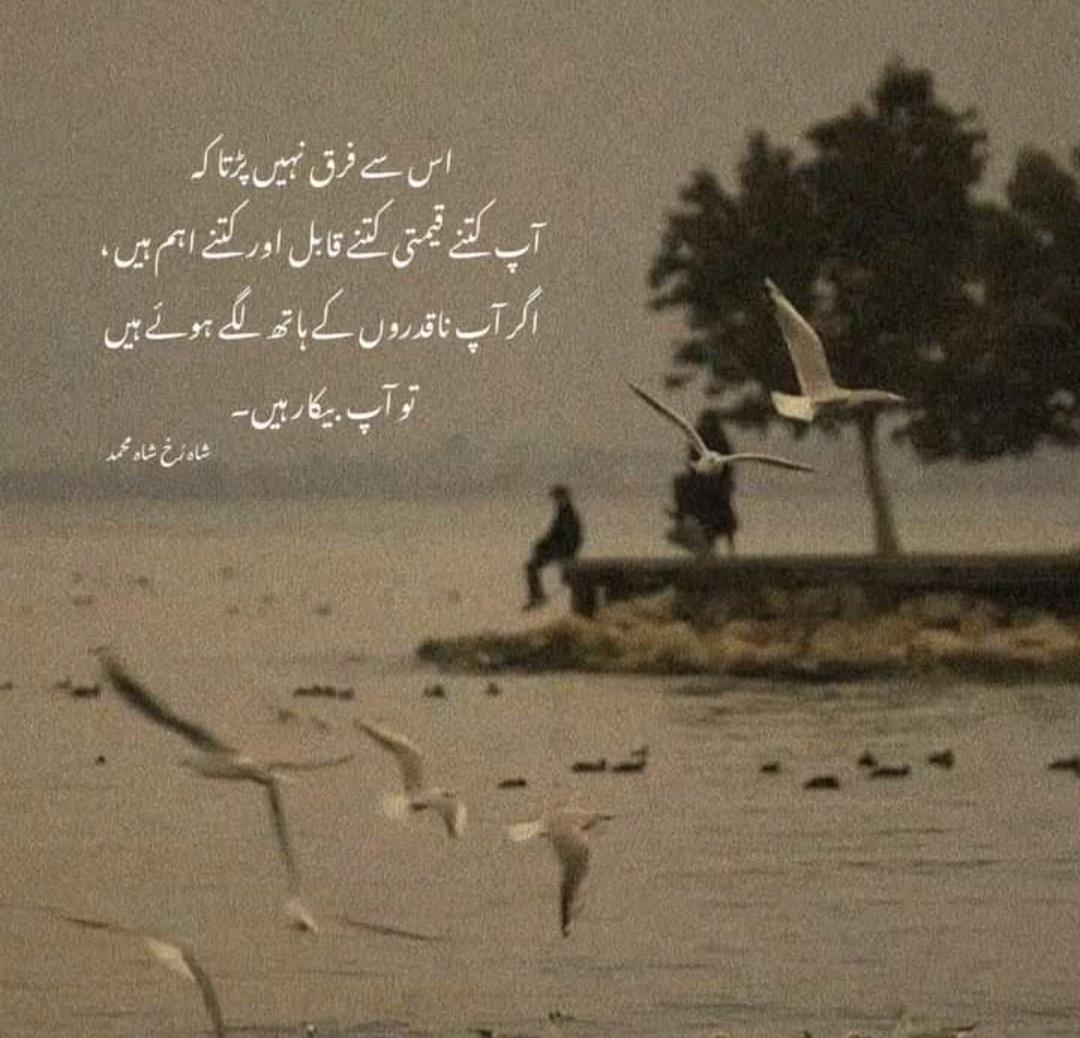 Bitter reality...🫥🫥
Happy Sunday 😊😊

#قومی_زبان