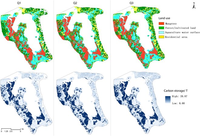 This study identified the #mangrove wetland coverage and quantify the spatiotemporal evolution of #carbon storage under various #restoration efforts.

Carbon Storage Assessment under Mangrove Restoration of Dongzhai Harbor in Hainan Island, China:
spj.science.org/doi/10.34133/e…