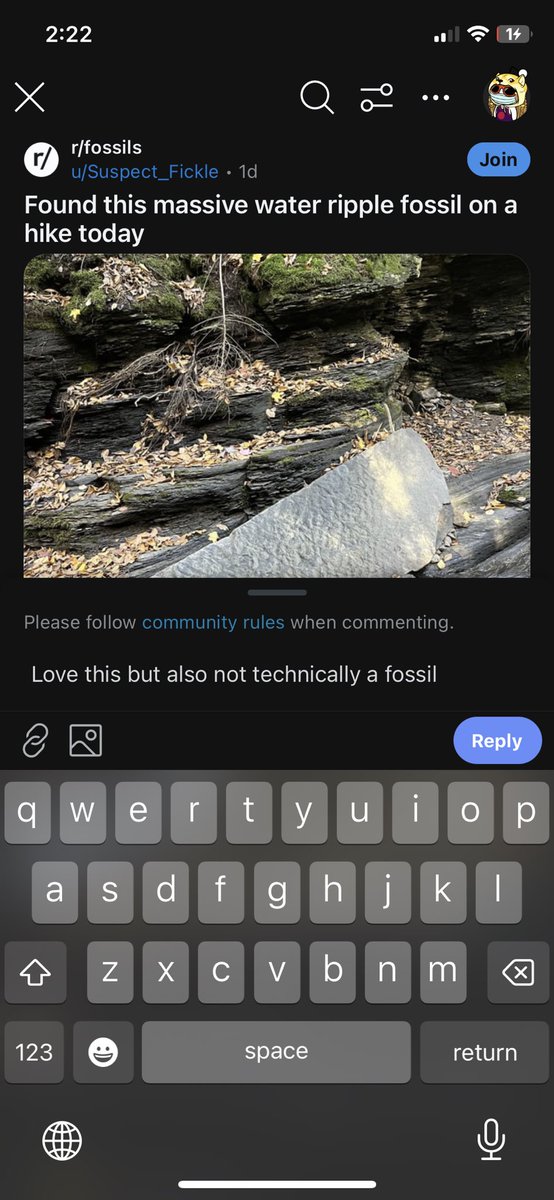 sambinoo's tweet image. Me @ 2:23 am pretending I&apos;m sober after getting home from a Halloween party