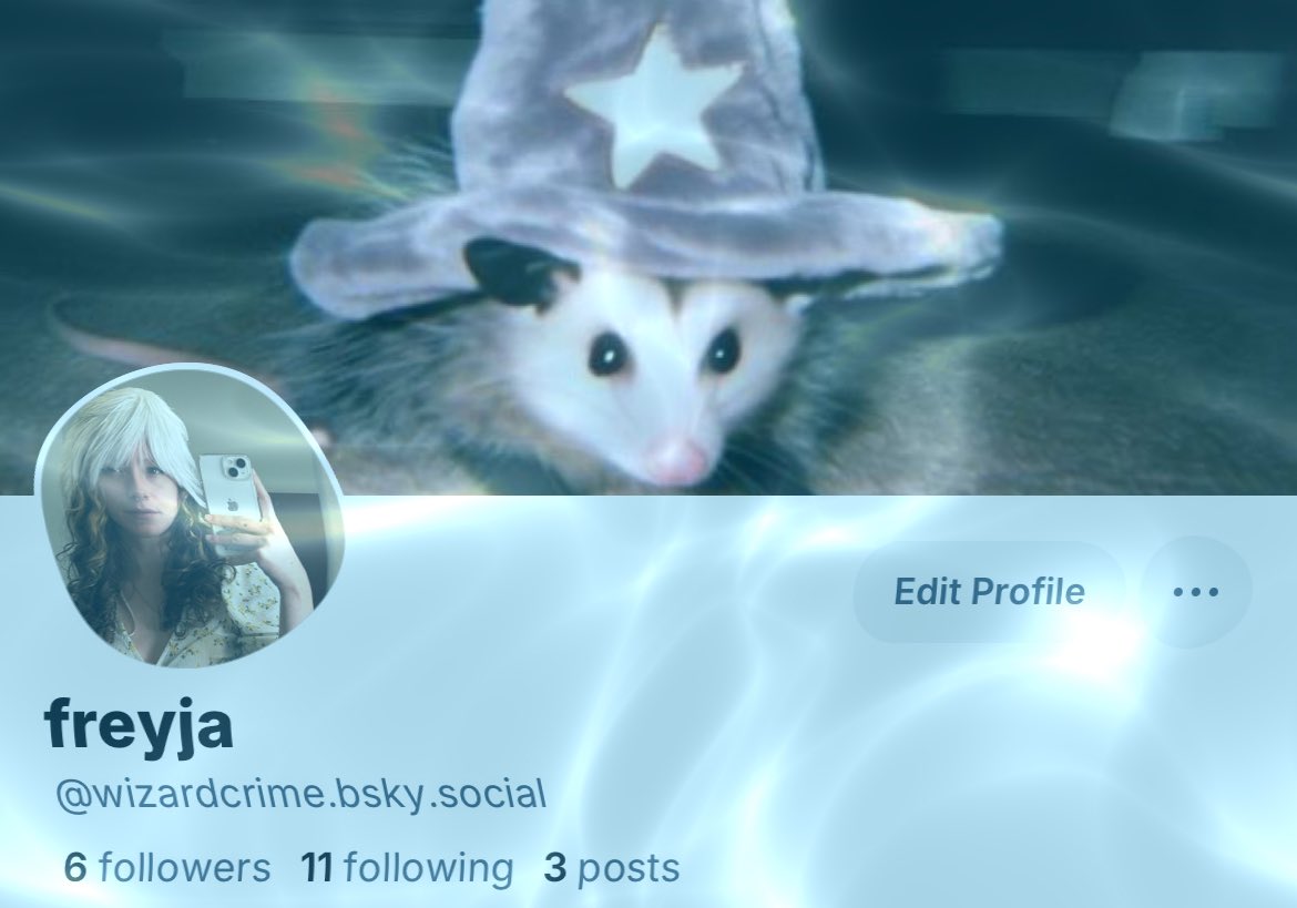 freyja tweet media