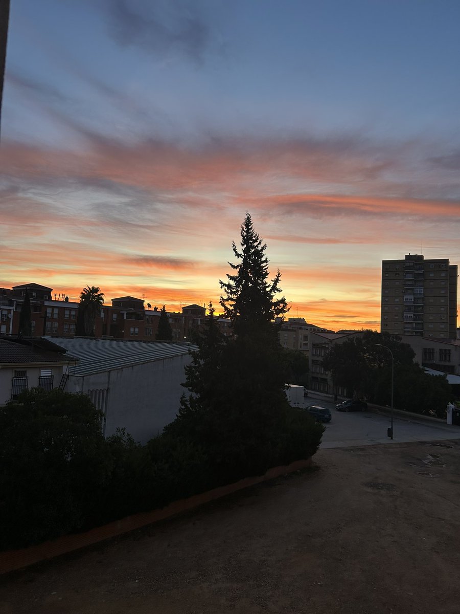 HdeHomer tweet media