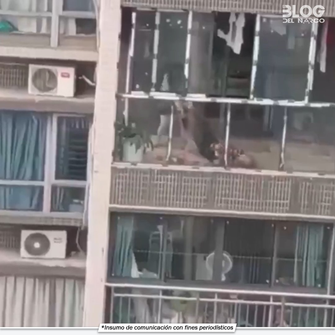RedesCDMX's tweet photo. Una mujer fue arrestada tras asesinar a su esposo y lanzar a su hijo desde un edificio. El trágico evento sigue causando conmoción en la comunidad local.

Video: https://t.co/fbX0IZqCYb

#ConmociónSocial https://t.co/l6ADZV6aEI