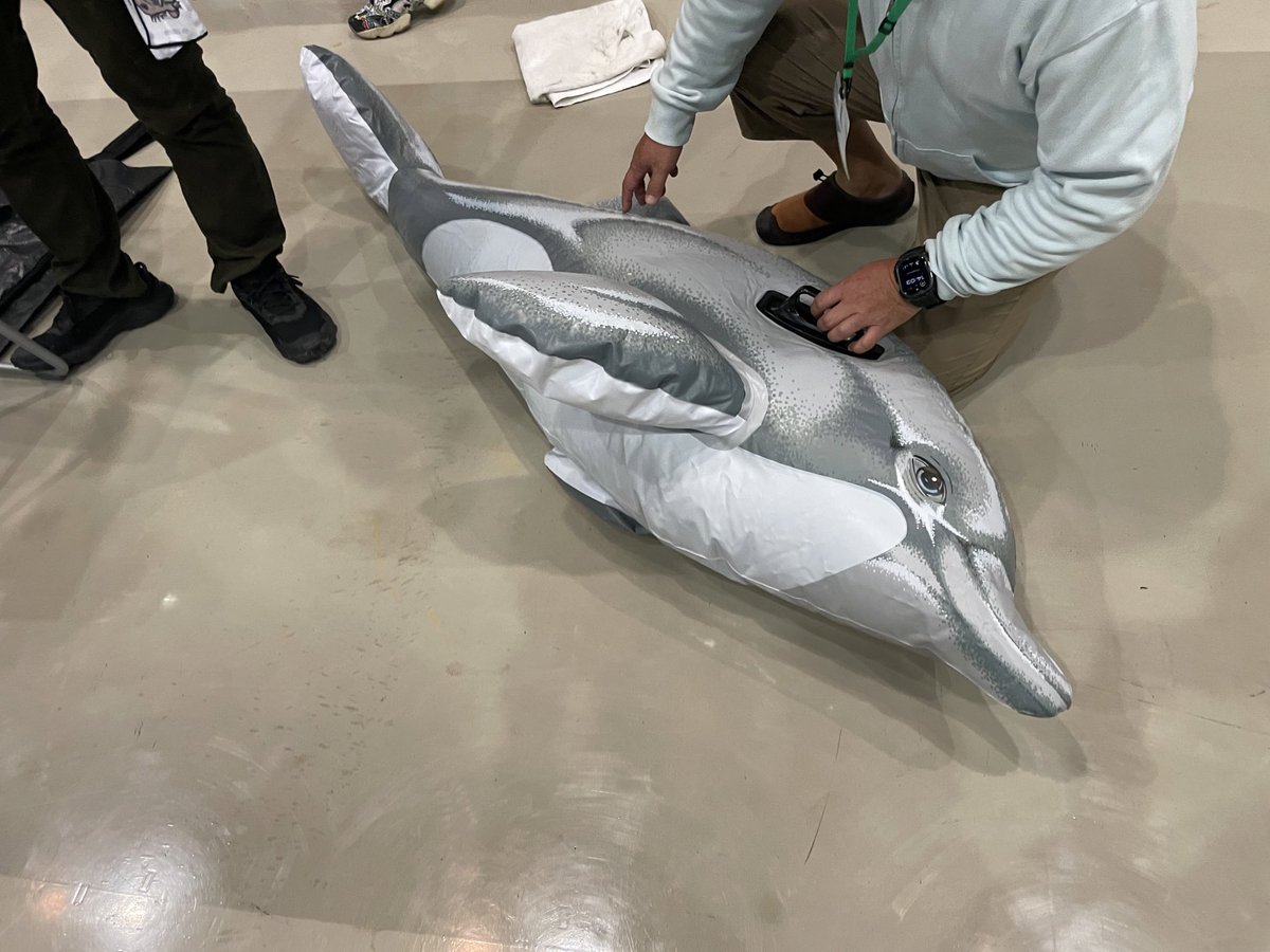 Kitase394's tweet photo. これは鯨類のストランディング対応の実演の様子。
みんなも気をつけよう！ https://t.co/e05FsIDPlQ