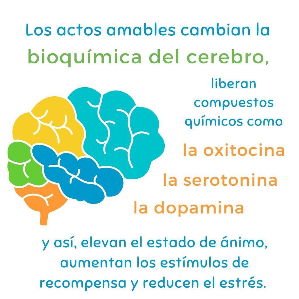 FdValientes's tweet photo. Todos podemos SER:
☺️Un poco más amables
🙌🏻Un poco más audaces
👀Un  poco  más  curiosos

🧠Un poco más capaces de ver lo bueno y encontrar una manera de comunicarlo con una sonrisa, una palabra, o  una  mirada

#FelizDomingo Valientes😊 https://t.co/oHeo3szFnR