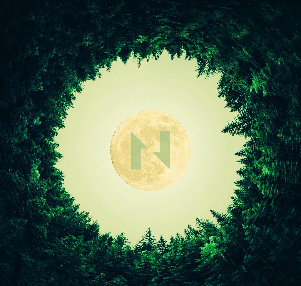Emman_Mart's tweet photo. Good morning ya'll! 🌻 

Subtle Sunday 🏡 

Meanwhile bullish on $CKB 🚀, touching the grass. https://t.co/18ZjtDoKqs