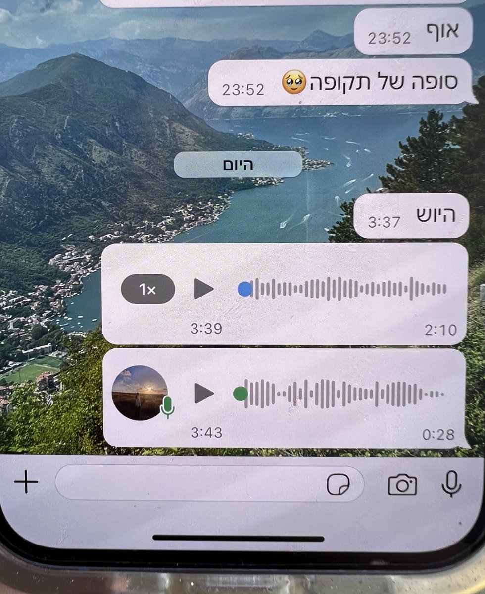 הילי גרינברג tweet media