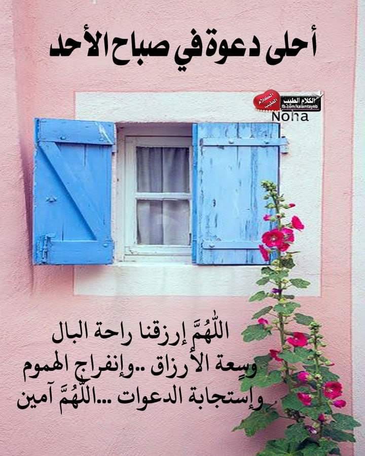 عاشق الوطن (@lamyn_salm) on Twitter photo 