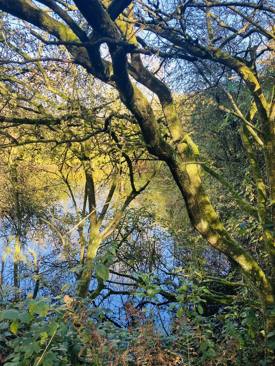 diamondluce's tweet photo. Sunny Saturday walk #ilkley #lovewhereyoulive https://t.co/Wk9zkkLaFy