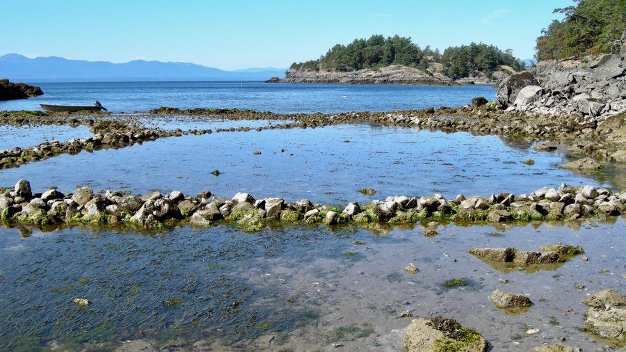 Stonefishweirs's tweet photo. Role of images of the extraction of marine resources from #fishing #fishweirs #whaling and fish conservation were interlinked in the indigenous people North America Traditional Ecological Knowledge in the #Atlantic and #Pasific. 1/10 https://t.co/z1YNABXRmv