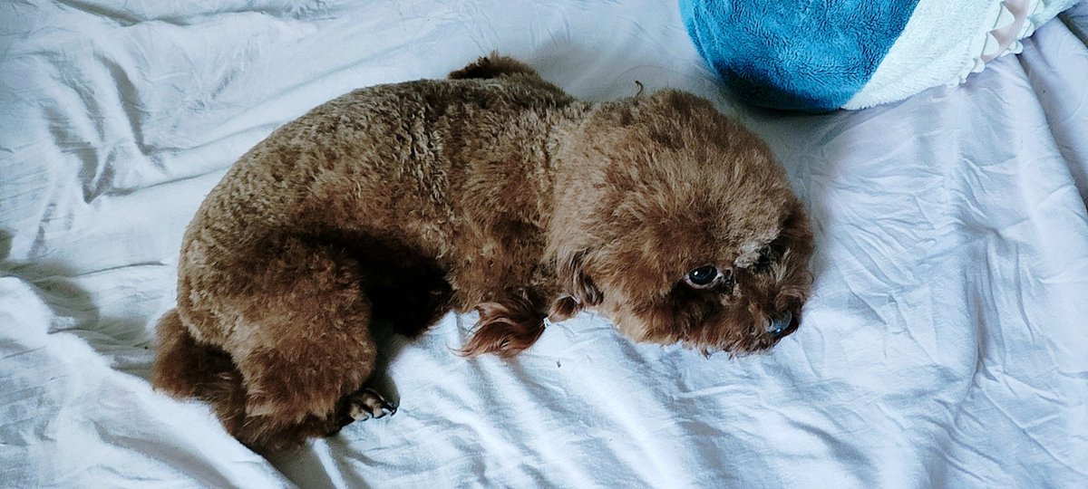 剪毛了，她好像不开心🤔