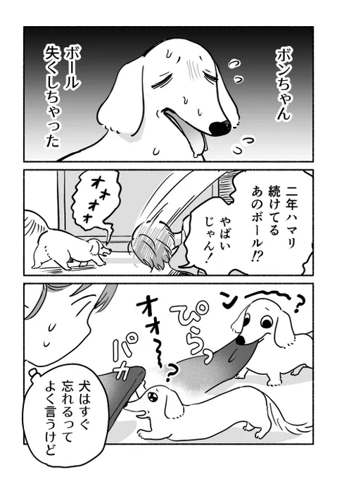 大切にしすぎた犬 1/2 