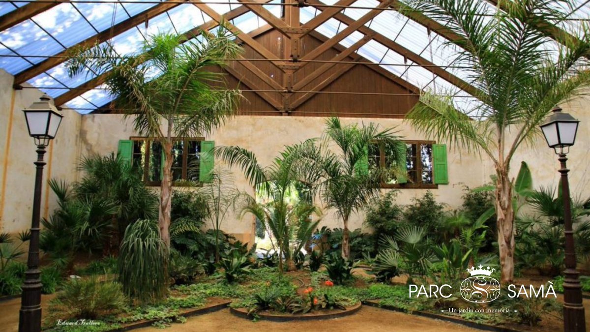 ¿Quieres un lugar tranquilo, en el que relajarte, inspirarte o soñar aunque no duermas? 😃

👉 Ven a #ParcSamà y descubre el #Invernadero Fontcuberta!

Un ambiente tropical para aislarte del exterior mientras escuchas armoniosas obras del romanticismo 🥰

📸Eduard Trallero