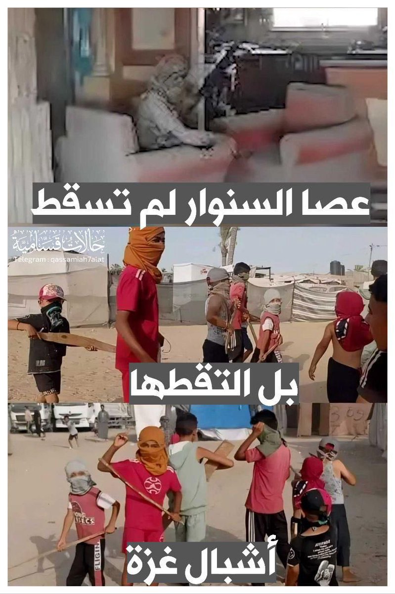 لن تسقط العصا .. يا السنوار .. أشبال غزة .. سيُكملون المشوار ..