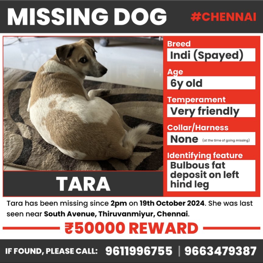 Guys please RT and share this as much as possible. Please help <a href="/_curses/">Harish</a> find his dog. #missingdog #Chennai