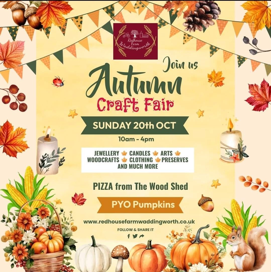 Gill-Eve Honey Bees tweet media