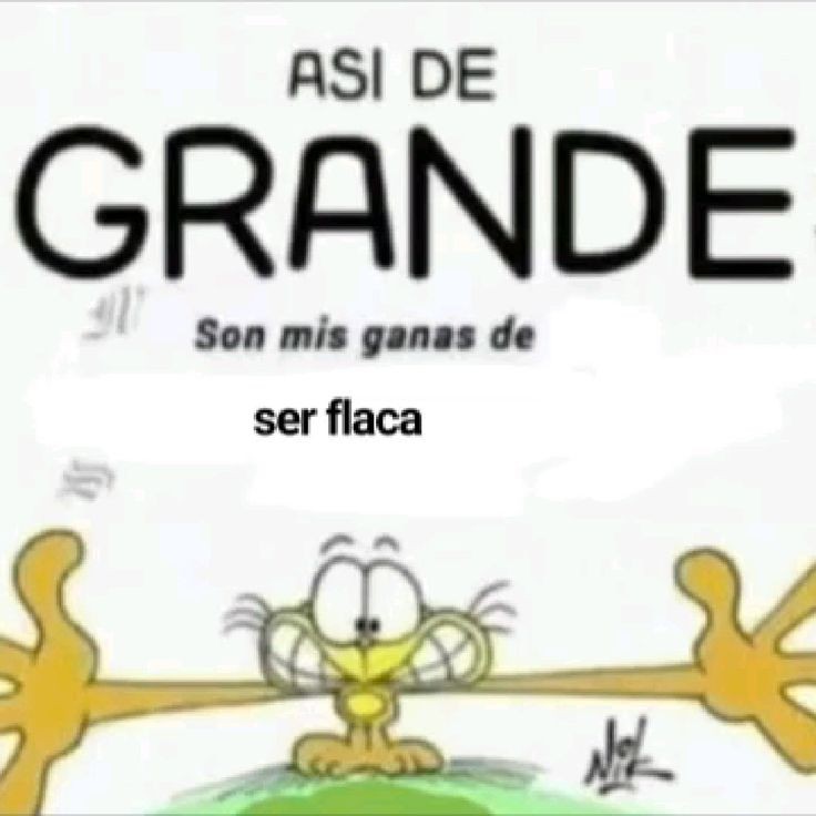 vnetii's tweet image. real