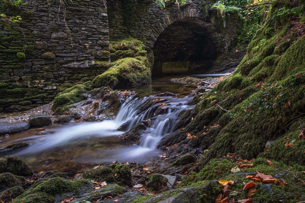 Stock Ghyll. A scattering of autumn leaves adding colour to the dark of the Ghyll. #LakeDistrict #Cumbria #landscapephotography #fujifilm_xseries #getoutside