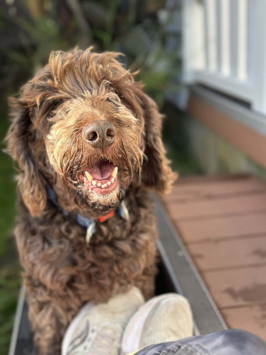 Charlotte Ward tweet media