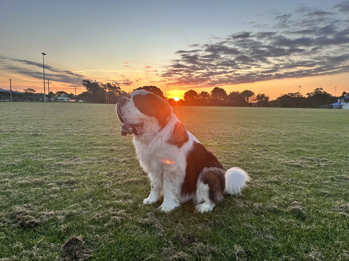 Charlotte Ward tweet media