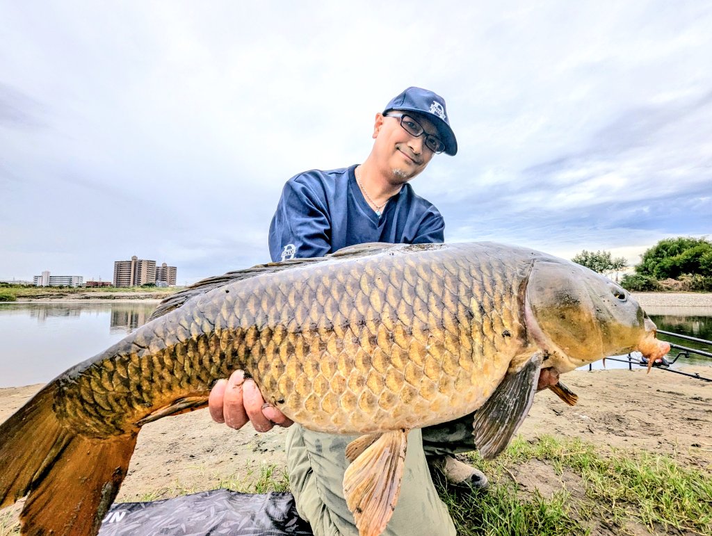 emoiralios's tweet photo. Toshi and I went carp fishing yesterday at a new spot we found along the Tama River in Tokyo. We started in the morning and finally got a hit in the evening. I was able to avoid my third straight blank 🤣
Hit Bait
1st : Dragon Bait Violet
2nd : Dragon Bait Shiso
#DragonFactory
#DragonBaits
#CarpFishing
昨日、トシくんと僕は多摩川の新しく見つけたポイントで鯉釣りをしました。朝から始めて夕方ようやくヒット。僕は 3 回連続のボウズを回避することができましたw
ヒットベイツ
1 本目:ドラゴンベイツ バイオレット
2 本目:ドラゴンベイツ シソ
#ドラゴンファクトリー
#ドラゴンベイツ
#鯉釣り